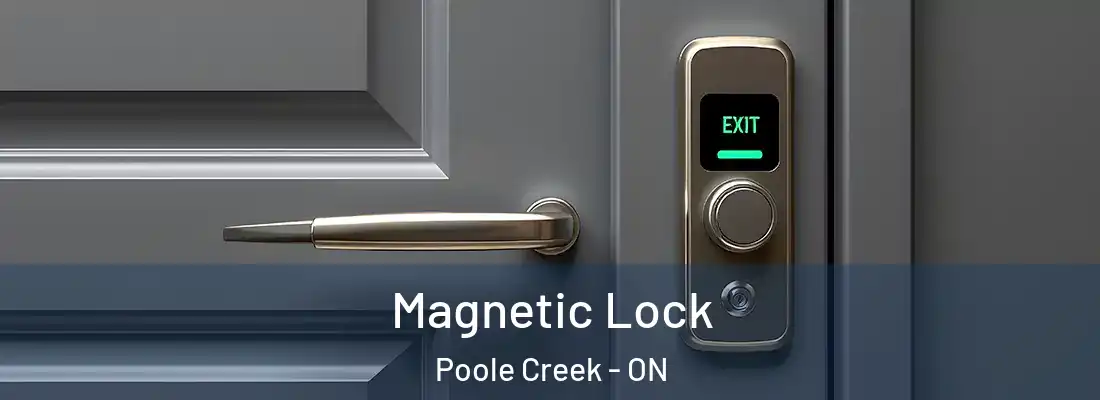  Magnetic Lock Poole Creek - ON