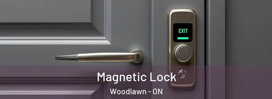  Magnetic Lock Woodlawn - ON