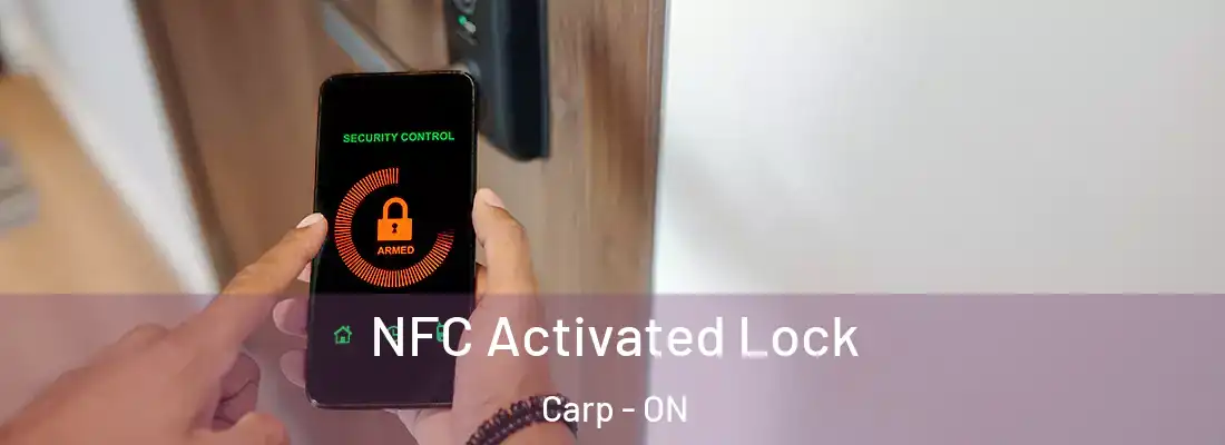  NFC Activated Lock Carp - ON