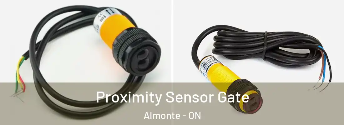  Proximity Sensor Gate Almonte - ON