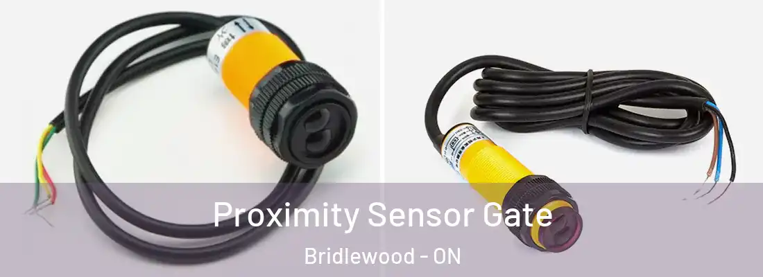  Proximity Sensor Gate Bridlewood - ON