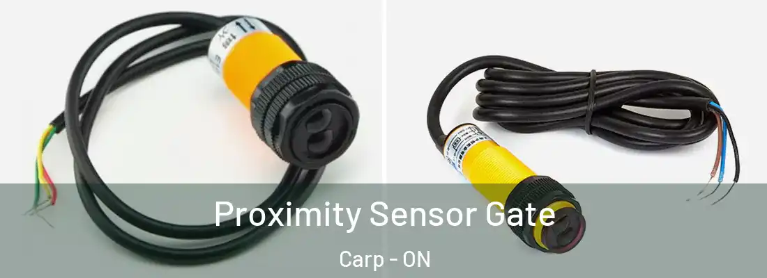  Proximity Sensor Gate Carp - ON