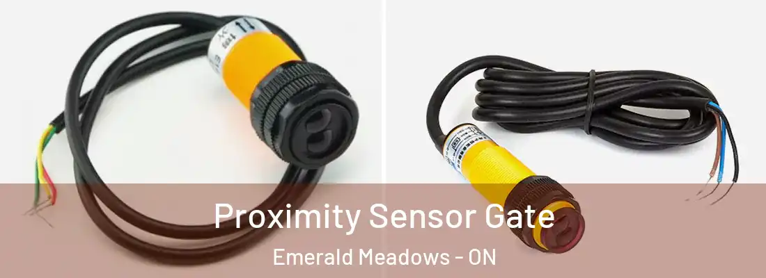  Proximity Sensor Gate Emerald Meadows - ON