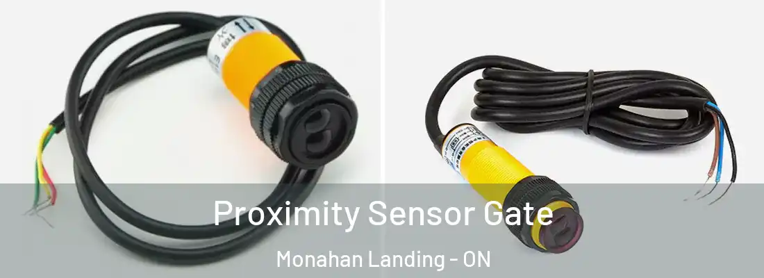  Proximity Sensor Gate Monahan Landing - ON