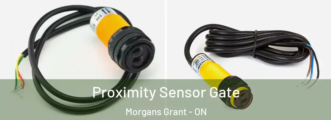  Proximity Sensor Gate Morgans Grant - ON