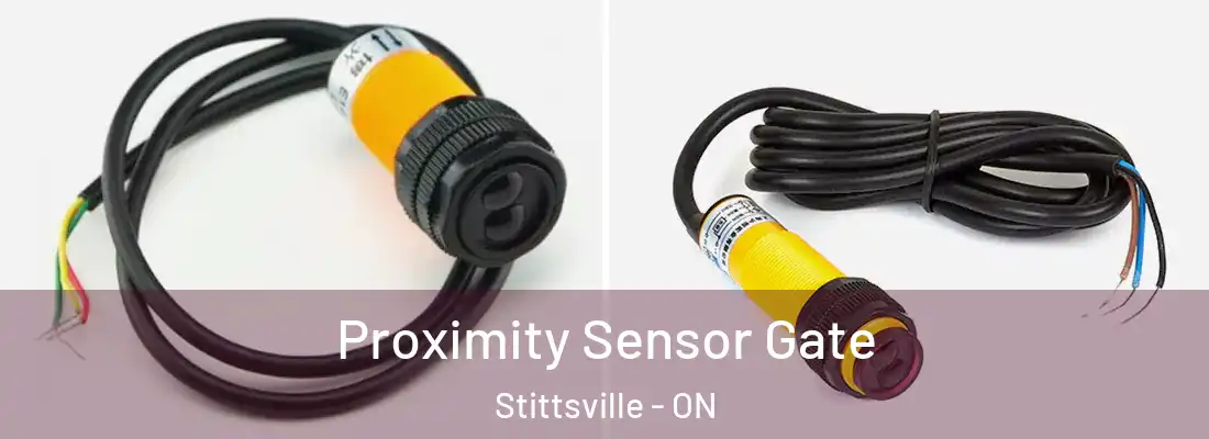  Proximity Sensor Gate Stittsville - ON