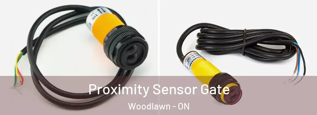  Proximity Sensor Gate Woodlawn - ON