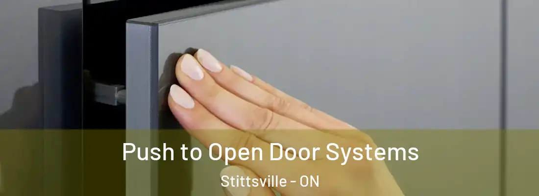  Push to Open Door Systems Stittsville - ON