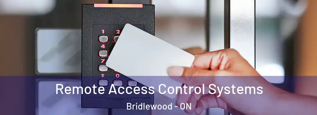  Remote Access Control Systems Bridlewood - ON