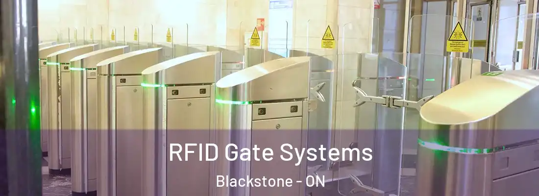  RFID Gate Systems Blackstone - ON