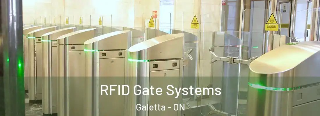  RFID Gate Systems Galetta - ON