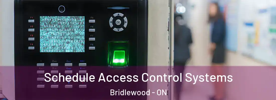  Schedule Access Control Systems Bridlewood - ON