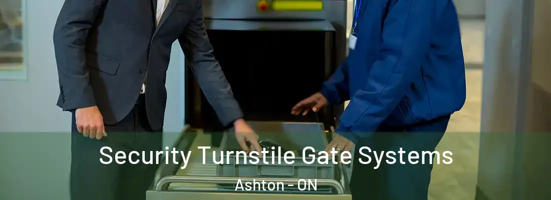  Security Turnstile Gate Systems Ashton - ON