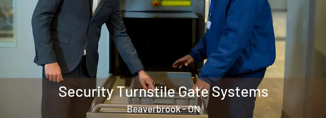  Security Turnstile Gate Systems Beaverbrook - ON