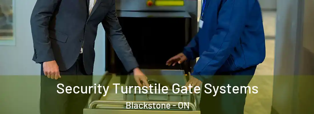  Security Turnstile Gate Systems Blackstone - ON