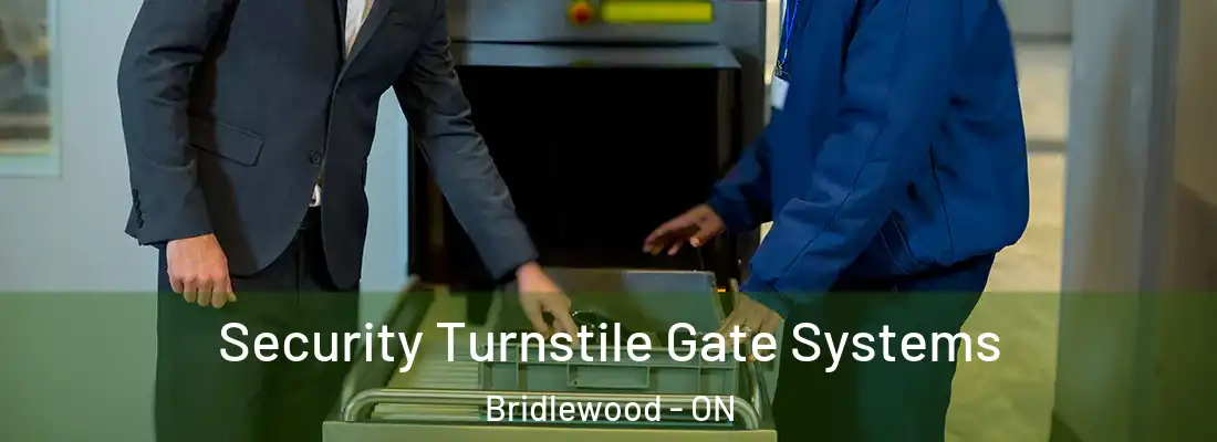  Security Turnstile Gate Systems Bridlewood - ON