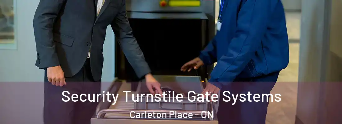 Security Turnstile Gate Systems Carleton Place - ON