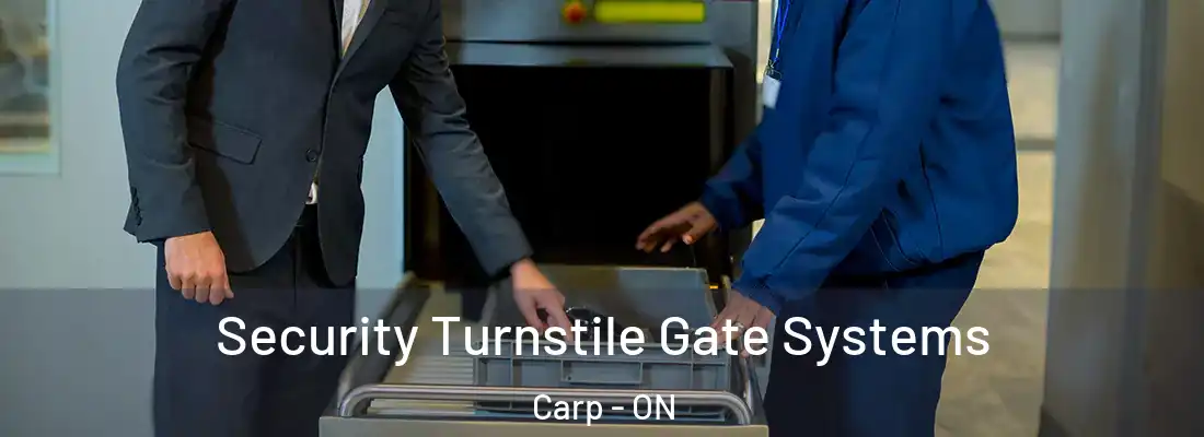  Security Turnstile Gate Systems Carp - ON