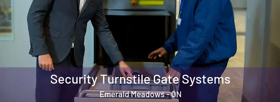  Security Turnstile Gate Systems Emerald Meadows - ON