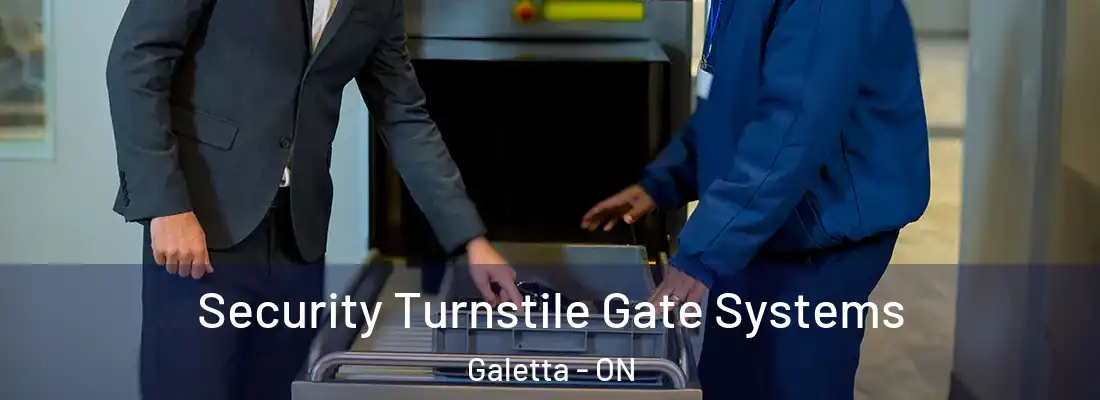  Security Turnstile Gate Systems Galetta - ON