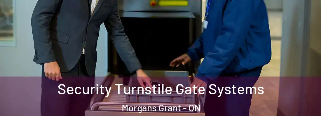  Security Turnstile Gate Systems Morgans Grant - ON