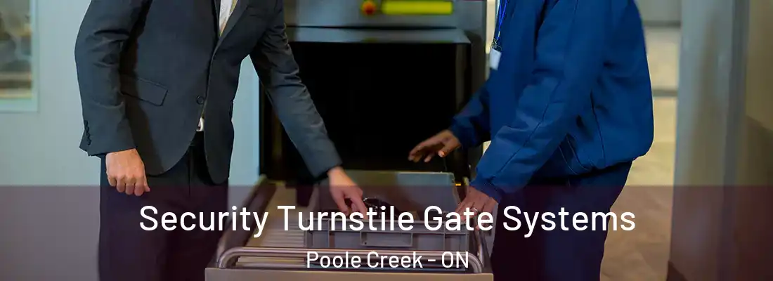  Security Turnstile Gate Systems Poole Creek - ON