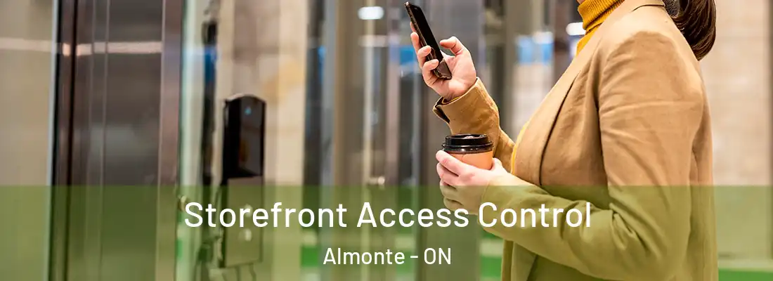  Storefront Access Control Almonte - ON
