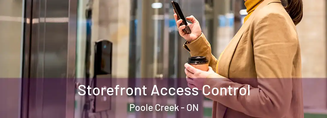 Storefront Access Control Poole Creek - ON