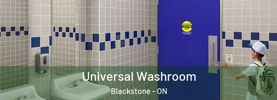  Universal Washroom Blackstone - ON