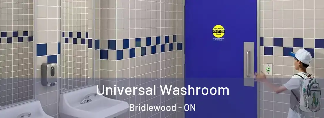  Universal Washroom Bridlewood - ON
