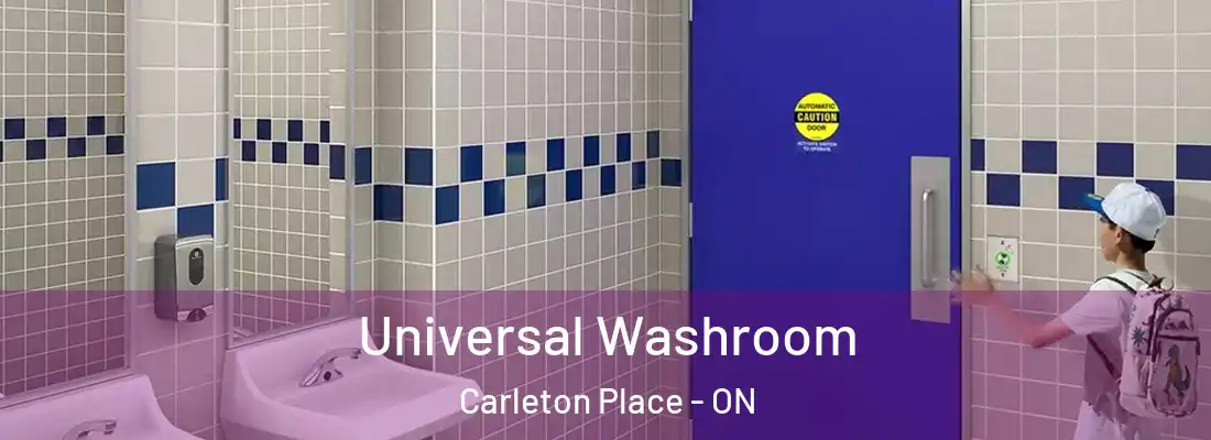  Universal Washroom Carleton Place - ON