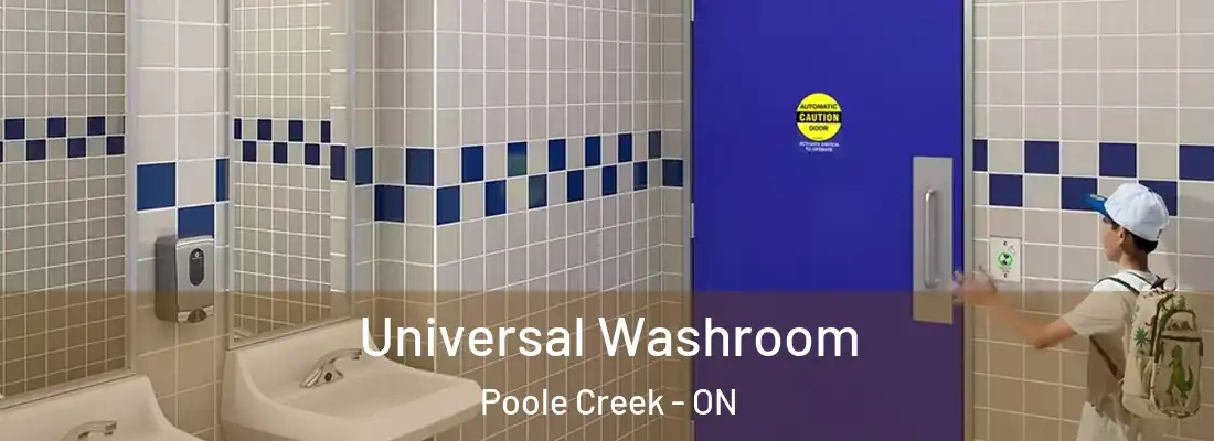  Universal Washroom Poole Creek - ON