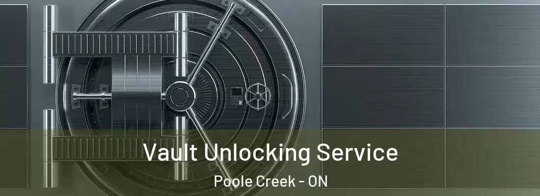  Vault Unlocking Service Poole Creek - ON
