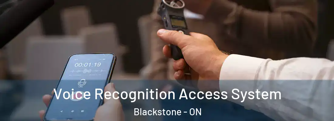  Voice Recognition Access System Blackstone - ON