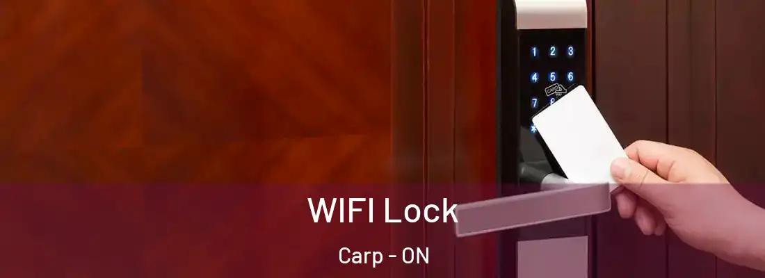  WIFI Lock Carp - ON