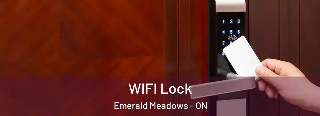  WIFI Lock Emerald Meadows - ON